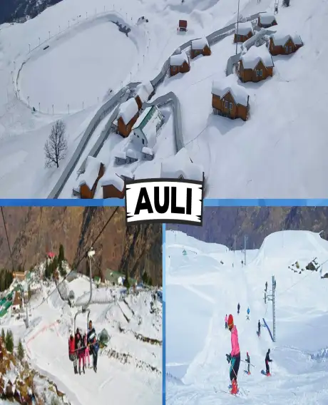 Auli